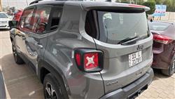 جيب رينيجيد